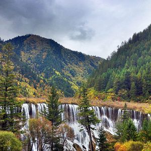 Foto Nacidos en China