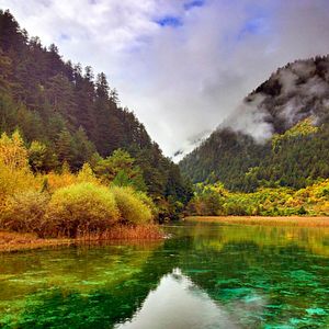 Foto Nacidos en China