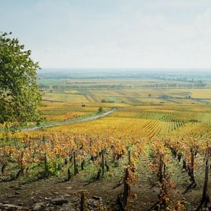 Foto Nuestra vida en la Borgoña