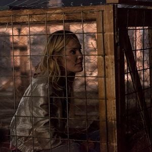 Foto Despertando a Zodiac