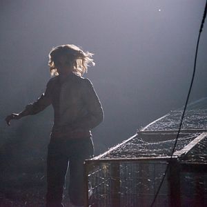 Foto Despertando a Zodiac