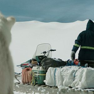 Foto Dos amantes y un oso