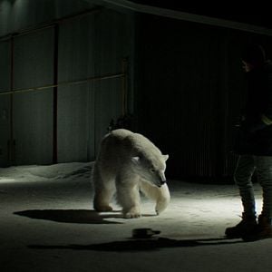 Foto Dos amantes y un oso