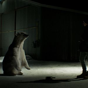 Foto Dos amantes y un oso