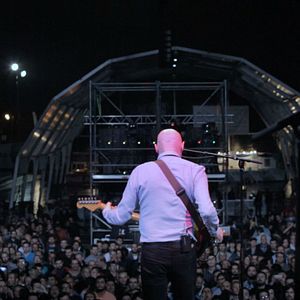 Foto Mi vida entre las hormigas