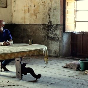 Foto Mi vida entre las hormigas