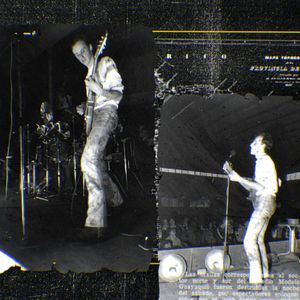 Foto Mi vida entre las hormigas