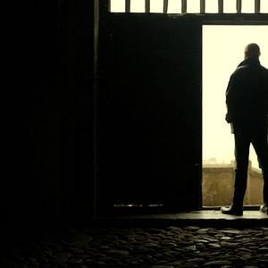 Foto Mi vida entre las hormigas