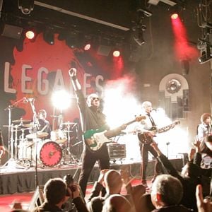 Foto Mi vida entre las hormigas