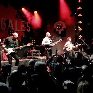 Foto Mi vida entre las hormigas