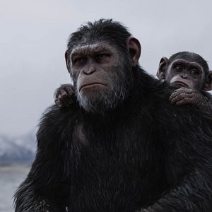 Foto La guerra del Planeta de los Simios