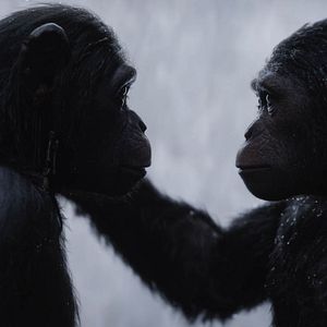 Foto La guerra del Planeta de los Simios