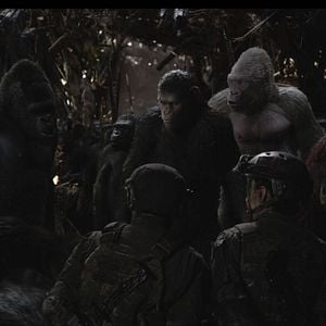 Foto La guerra del Planeta de los Simios