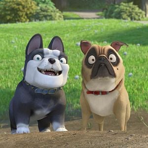 Foto Operación Cacahuete 2. Misión: Salvar el parque