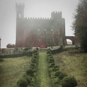 Foto Voice From the Stone