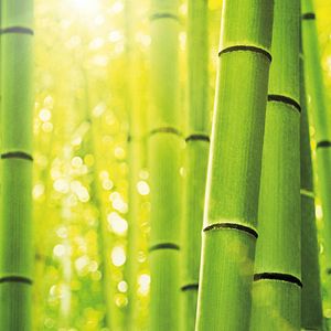 Foto La Lego Ninjago película