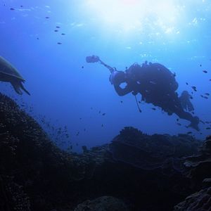 Foto En busca del coral