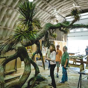 Foto El castillo de cristal