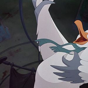 Foto Los rescatadores en Cangurolandia