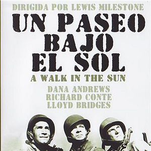 Foto Un paseo bajo el sol