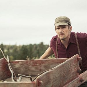 Foto Maudie. El color de la vida