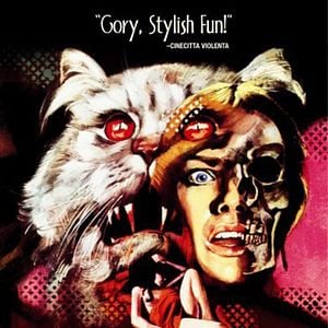 Foto Siete muertos en el ojo del gato