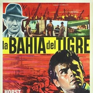 Foto La bahía del tigre