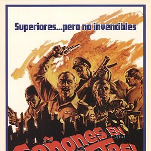 Foto Cañones en Batasi