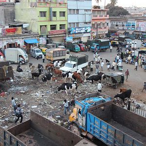 Foto Daughters of Destiny