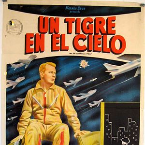 Foto Un tigre en el cielo