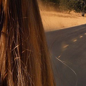 Foto Blanco perfecto (Downrange)