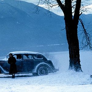 Foto Mientras nieva sobre los cedros