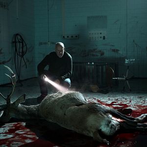 Foto Tomas Norström