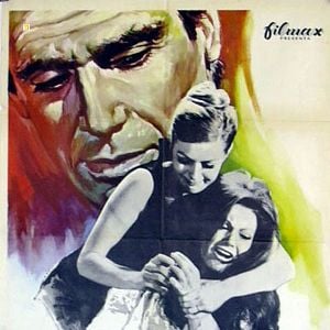 Foto Las bellas del bosque