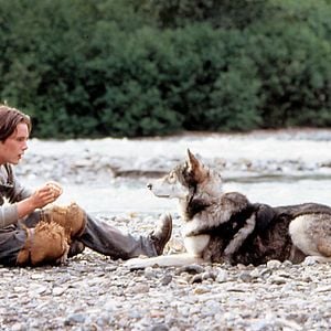 Foto Colmillo Blanco