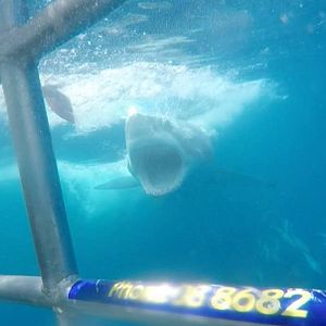 Foto Open Water: Inmersión extrema