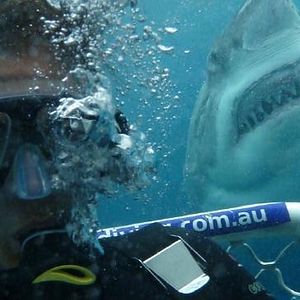 Foto Open Water: Inmersión extrema