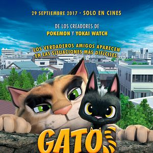 Foto Gatos. Un viaje de vuelta a casa