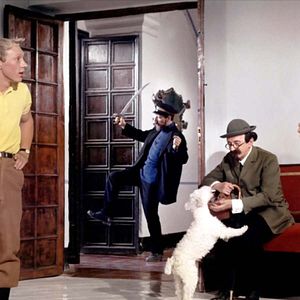 Foto El misterio de las naranjas azules