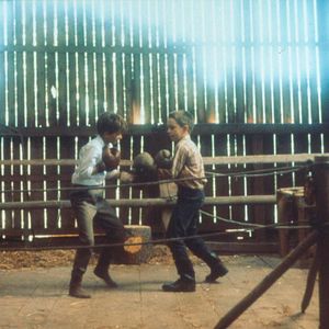 Foto Mi vida como un perro