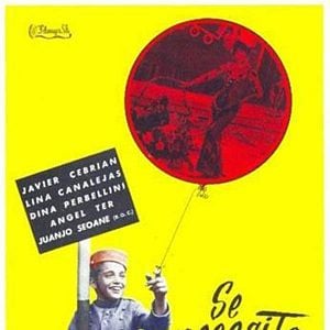 Foto Se necesita chico