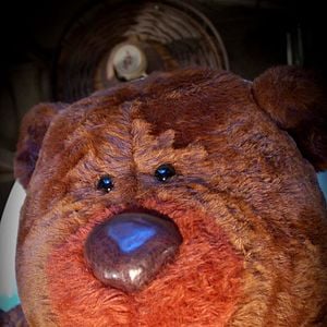 Foto Le Jour de la comète