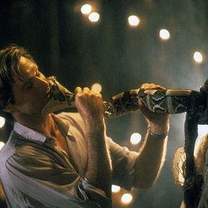 Foto La Serpiente y el Arco Iris