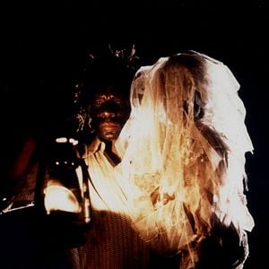 Foto La Serpiente y el Arco Iris