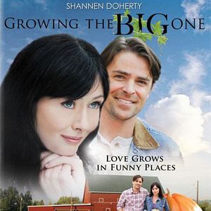 Foto Cultivando calabazas gigantes