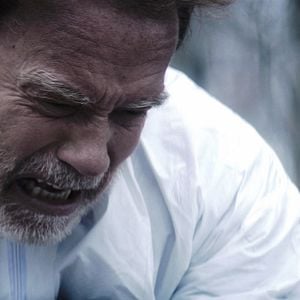 Foto Arnold Schwarzenegger