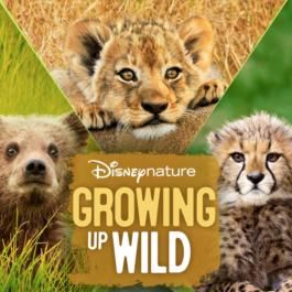 Foto Crecer en la naturaleza