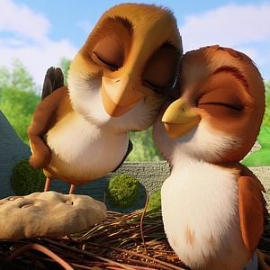 Foto Richard, la cigüeña