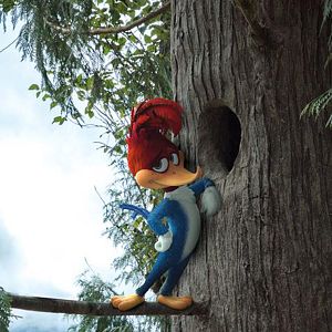 Foto Woody Woodpecker