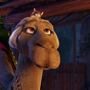 Foto Se armó el Belén